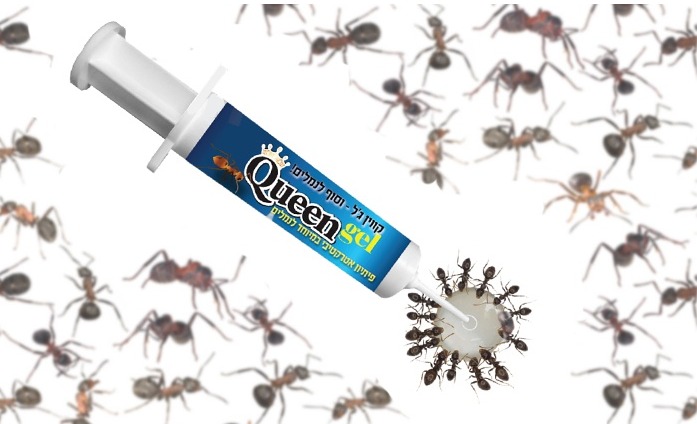 Queen gel
